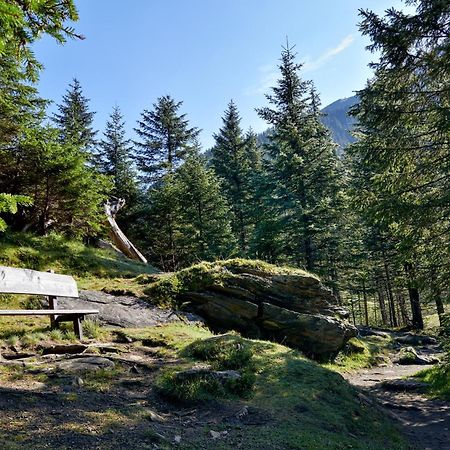 Ferienwohnung Innerhofer Hollersbach im Pinzgau Exteriér fotografie